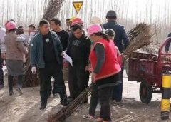 3.6万株葡萄苗巩固拓展脱贫攻坚成果助力乡村振兴