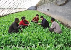 加大林草科技普及为林农群众送上“技术营养餐”