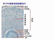 进行中英文·​百日冲刺 谱?进行中英文 写梦想&mdash