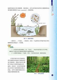 有刻录条件朋友建议你选择此种方法